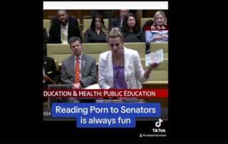 Porn read to VA Senate